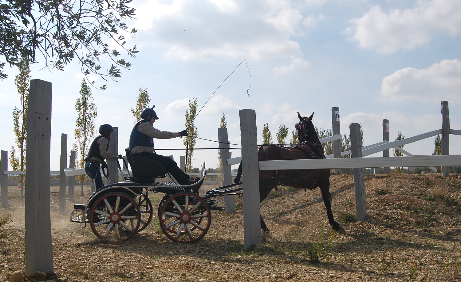 Emocionante Final del Campeonato Navarro de Enganches